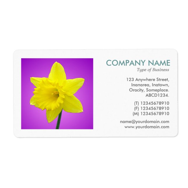 Square Photo - Daffodil (Front)