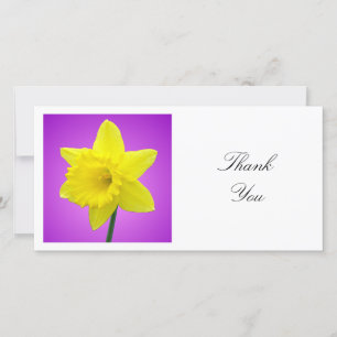 Square Photo - Daffodil on Magenta and Purple Thank You Card