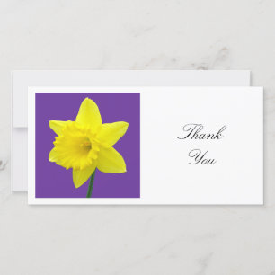 Square Photo - Daffodil on Purple Thank You Card