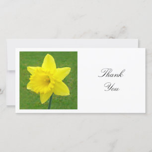 Square Photo - Daffodil Thank You Card