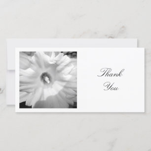 Square Photo - Daffodil Thank You Card