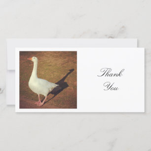 Square Photo - Goose Thank You Card
