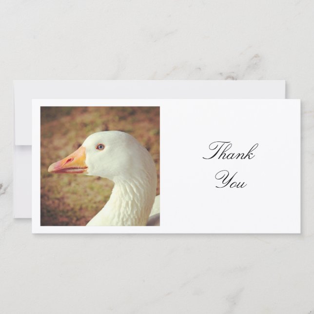 Square Photo - Goose Thank You Card (Front)
