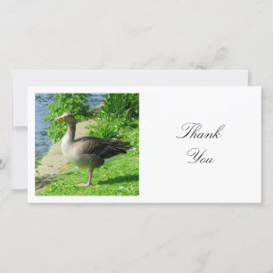 Square Photo - Greylag Goose Thank You Card