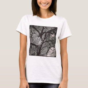 Square Photo - Magnolia Tree in Early Spring T-Shirt
