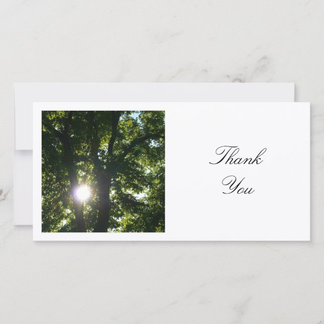 Square Photo - Sun Through the Trees Thank You Card (Front)