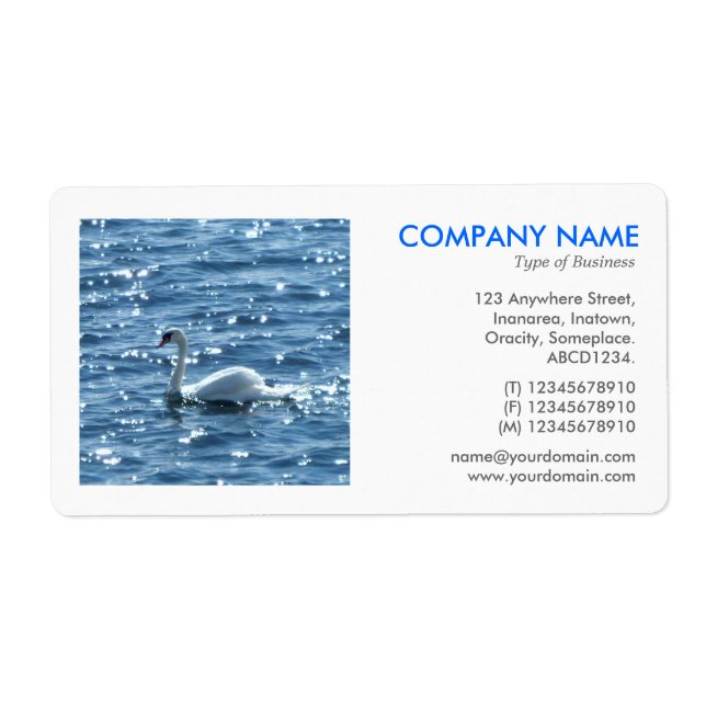 Square Photo - Swan (Front)
