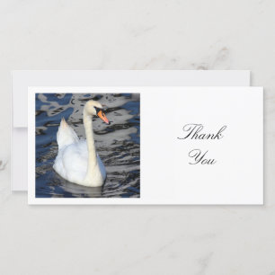 Square Photo - Swan Thank You Card