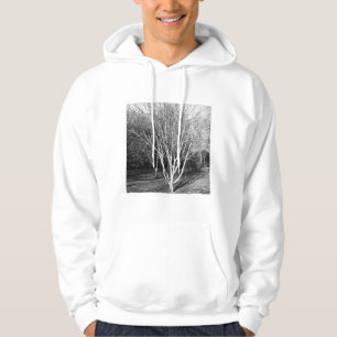 Square Photo - Tree Hoodie