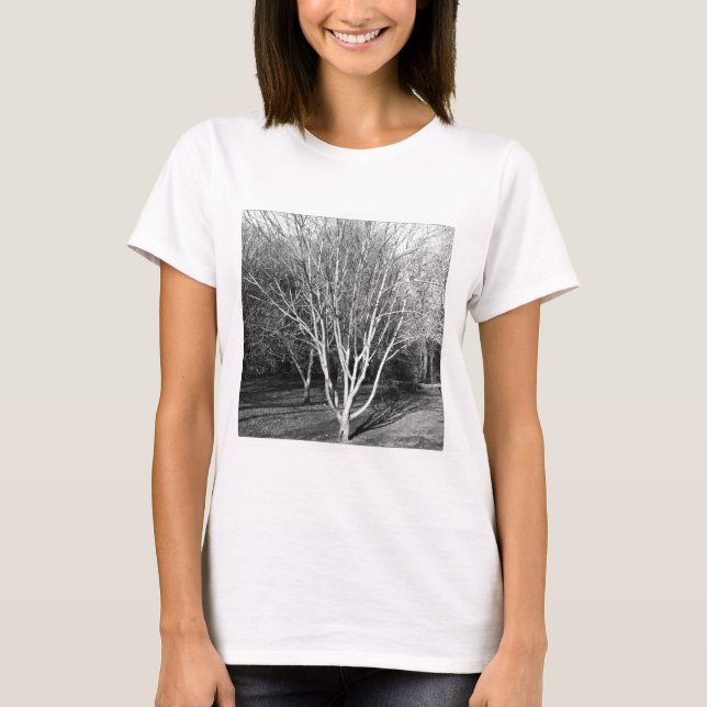 Square Photo - Tree T-Shirt (Front)