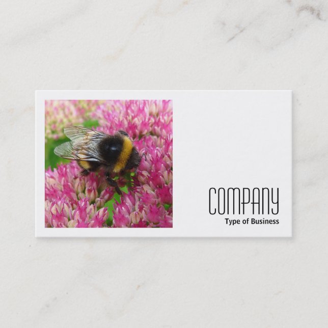 Square Photo (v2) - Bumble Bee on Sedum Business Card (Front)