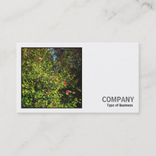 Square Photo (v2) - Camellia Bush 02 Business Card