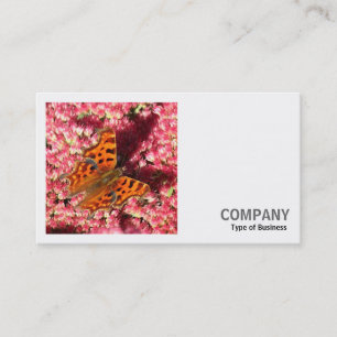 Square Photo (v2) - Comma Butterfly on Sedum Business Card
