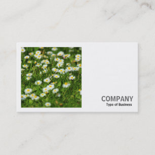 Square Photo (v2) - Daisy Meadow Business Card