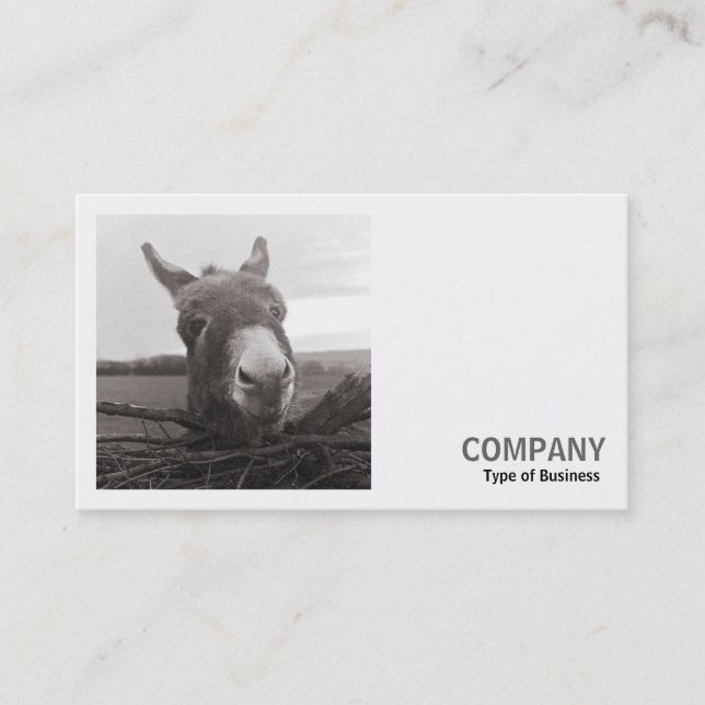 Square Photo (v2) - Friendly Donkey Business Card (Front)