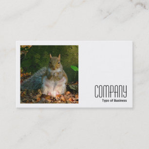 Square Photo (v2) - Grey Squirrel Business Card