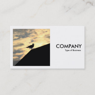 Square Photo (v2) - Herring Gull Sunset Business Card