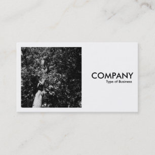 Square Photo (v2) - London Plane Tree Business Card
