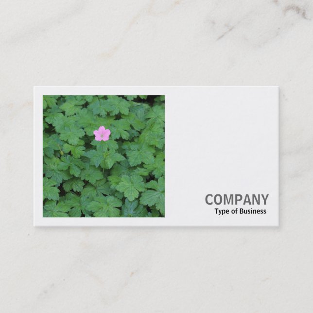 Square Photo (v2) - Lone Geranium Business Card (Front)