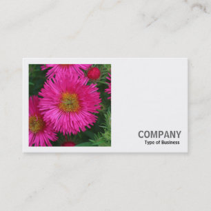 Square Photo (v2) - Michaelmas Daisies 03 Business Card