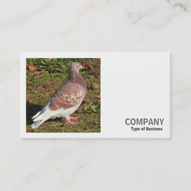 Square Photo (v2) - Pigeon Business Card (Front)