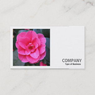 Square Photo (v2) - Pink Camellia Business Card