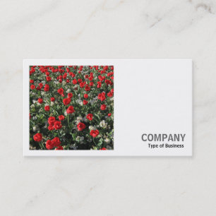 Square Photo (v2) - Red Tulips and Primroses Business Card