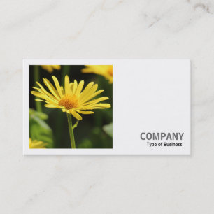 Square Photo (v2) - Yellow Daisy Business Card