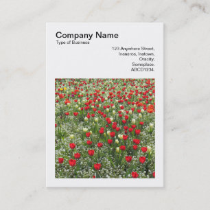Square Photo (v3) - Bed of Tulips Business Card