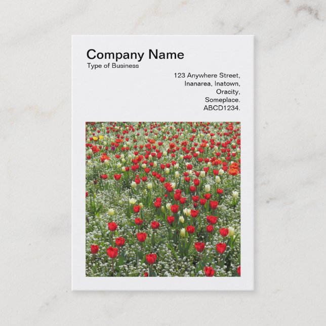 Square Photo (v3) - Bed of Tulips Business Card (Front)