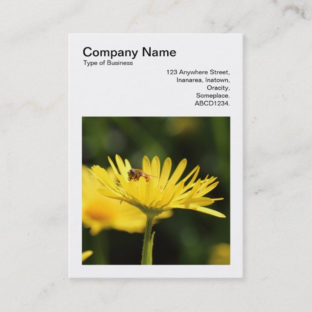 Square Photo (v3) - Busy Bee Business Card (Front)