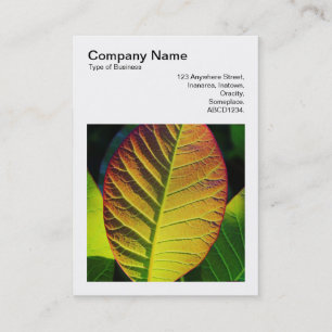 Square Photo (v3) - Colourful Leaf Business Card