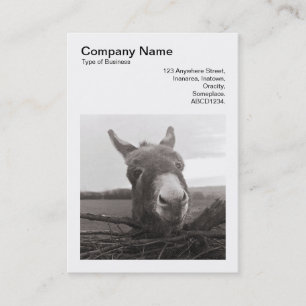 Square Photo (v3) - Friendly Donkey Business Card