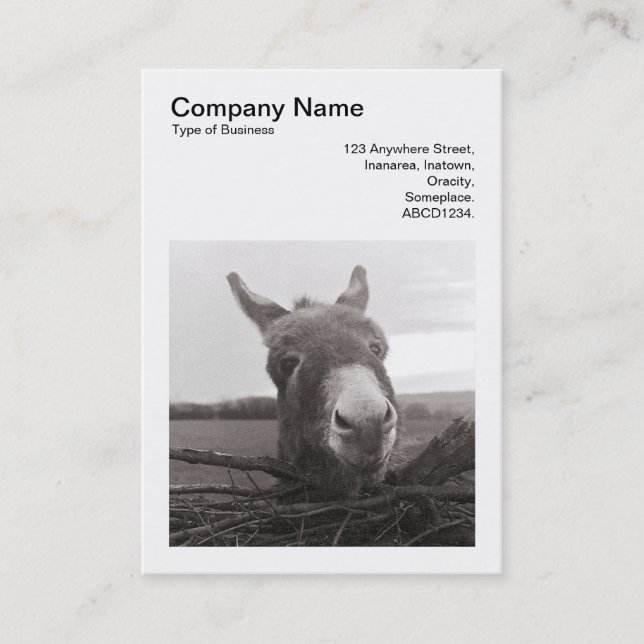 Square Photo (v3) - Friendly Donkey Business Card (Front)
