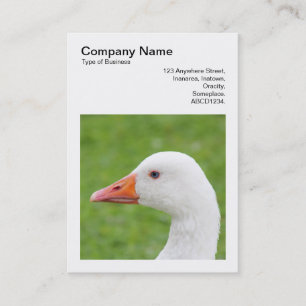 Square Photo (v3) - Goose Business Card