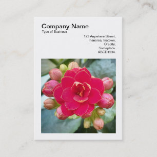Square Photo (v3) - Kalanchoe Business Card