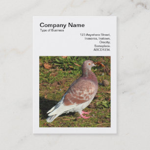 Square Photo (v3) - Pigeon Business Card