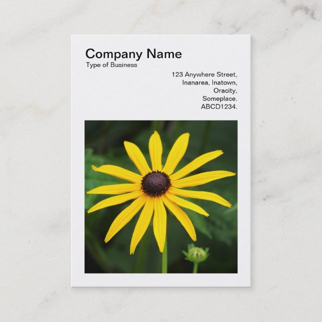 Square Photo (v3) - Rudbeckia hirta Business Card (Front)