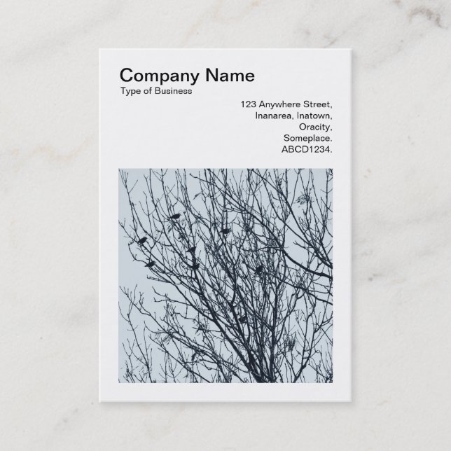 Square Photo (v3) - Starlings in a Tree Business Card (Front)
