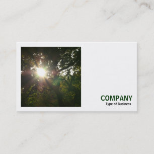 Square Photo (v3) - Sun in the Trees Business Card