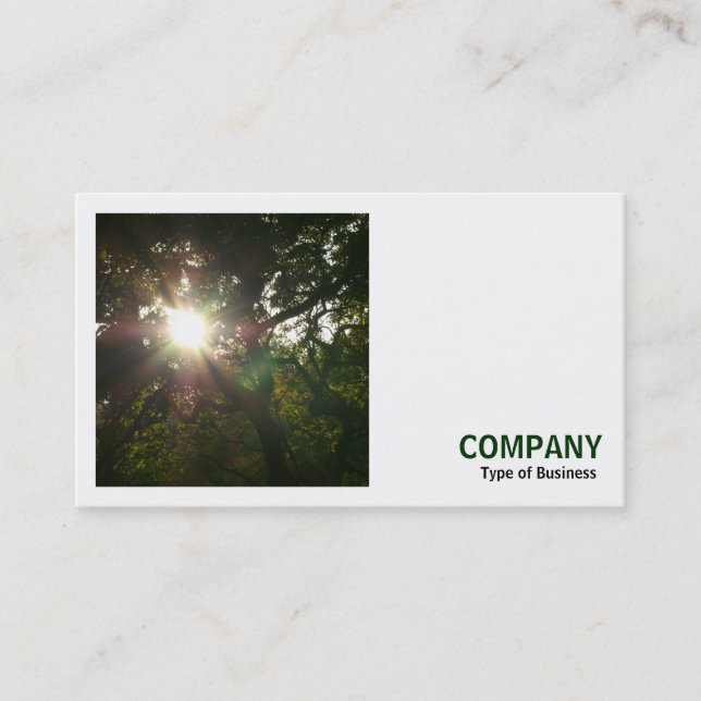 Square Photo (v3) - Sun in the Trees Business Card (Front)
