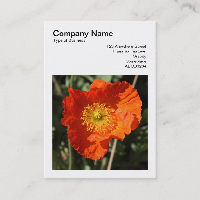 Square Photo (v3) - Welsh Poppy Business Card (Front)