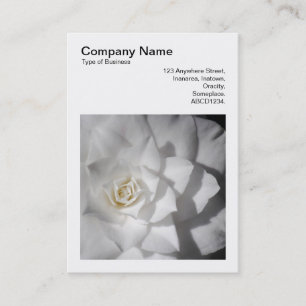 Square Photo (v3) - White Camellia Business Card