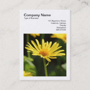 Square Photo (v3) - Yellow daisy Business Card