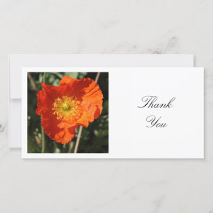 Square Photo - Welsh Poppy Thank You Card