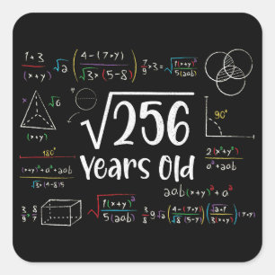Square Root of 225 15th Birthday 15 Year Old Gifts Sticker
