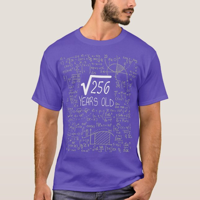 Square Root of 256 16 Years Old 16th Birthday T-Shirt (Front)