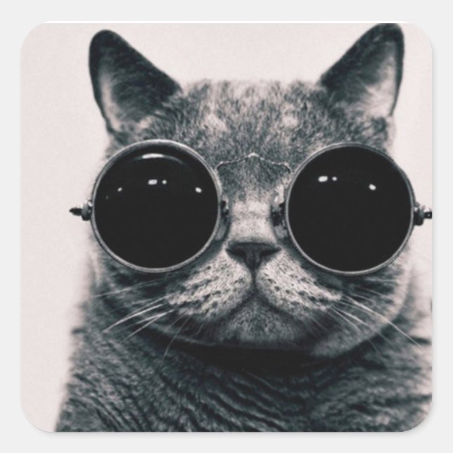Square sticker - Glasses cat (Front)