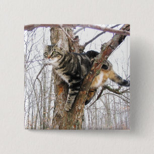 Square Tabby Cat Button