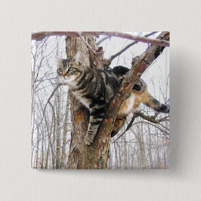 Square Tabby Cat Button (Front)